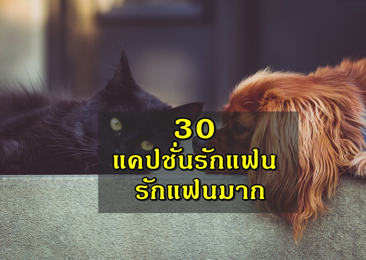 30 แคปชั่นรักแฟน คำคมรักแฟน 2023