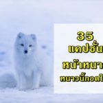 แคปชั่นหนาว แคปชั่นหน้าหนาว