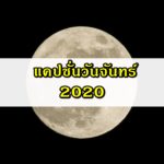 แคปชั่นวันจันทร์ แคปชั่นคนทำงาน ยิ้มรับวันจันทร์ 2020