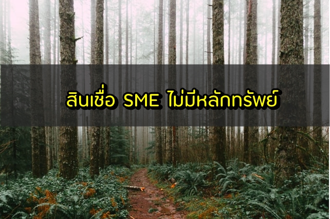 สินเชื่อ SME ไม่มีหลักทรัพย์ ดอกเบี้ยต่ำ 2563 ธนาคารไหนดี