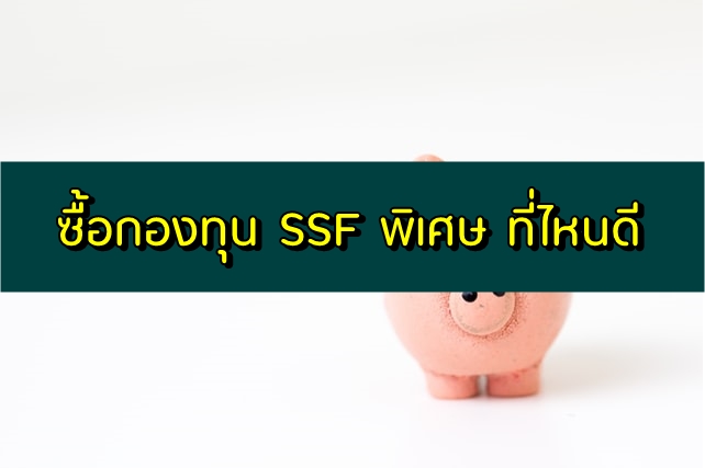 กองทุน SSF พิเศษ ตัวไหนดี มีอะไรบ้าง ซื้อที่ไหน 2563