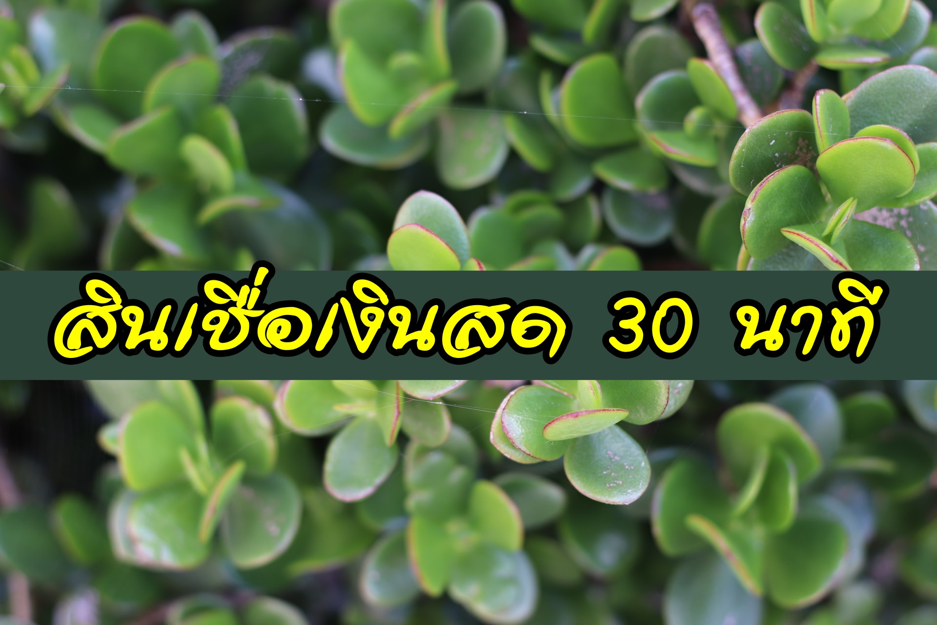 สินเชื่อเงินสด 30 นาที