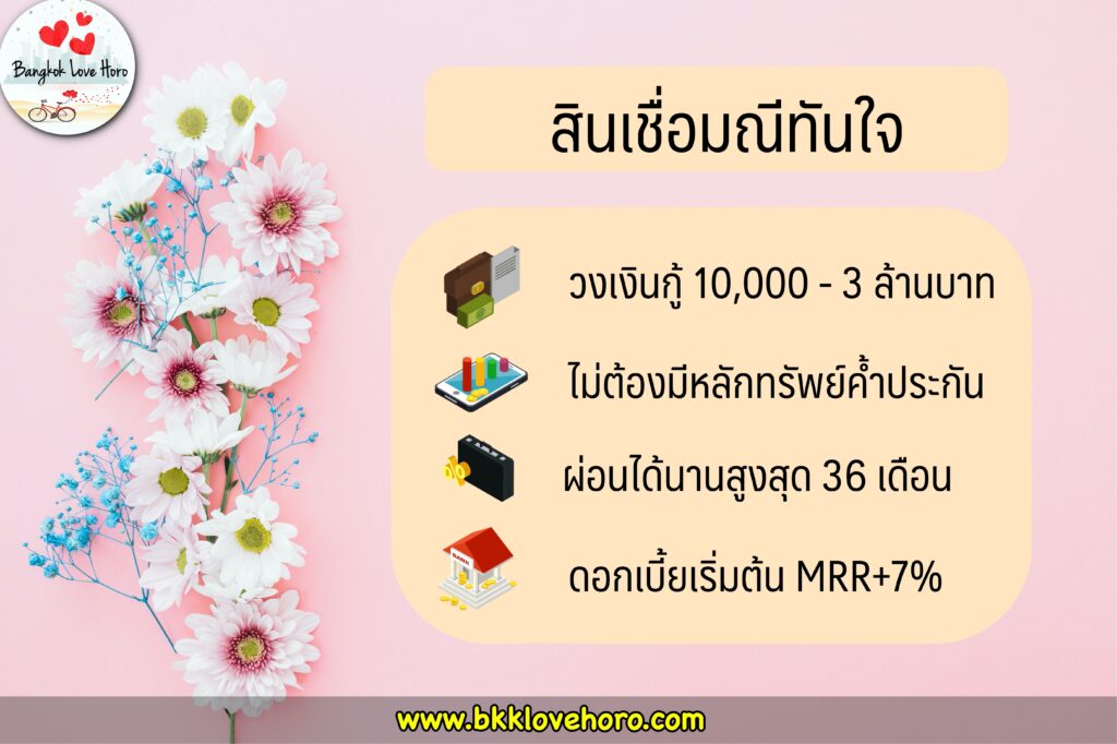 สินเชื่ออาชีพอิสระ ไทยพาณิชย์ (SCB) 2563.สินเชื่อมณีทันใจ สินเชื่อสำหรับผู้ค้าออนไลน์