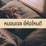 หมอนเจลเย็น ยี่ห้อไหนดี 2563