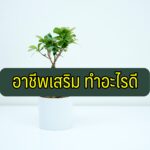 อาชีพเสริม 2020