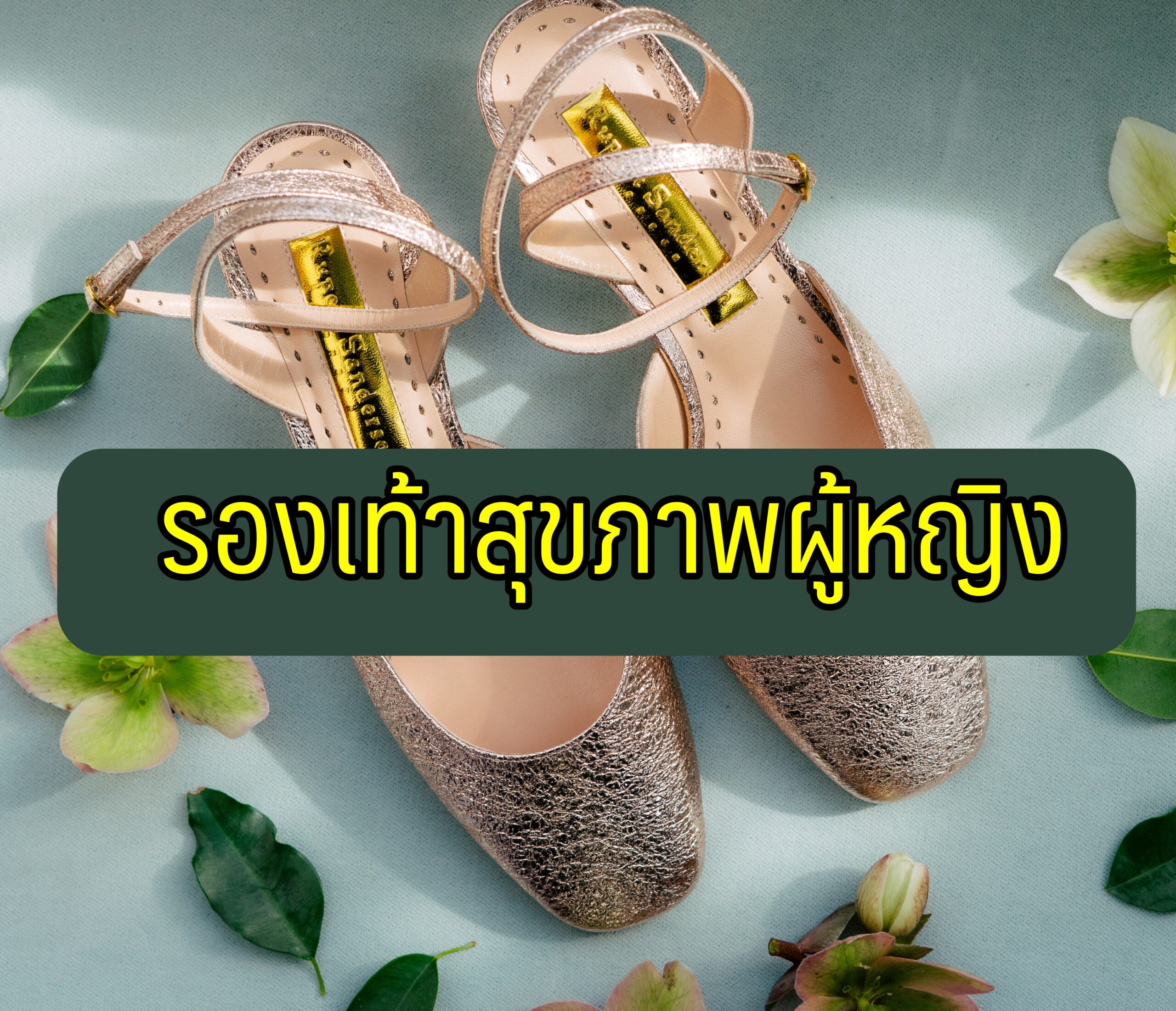 รองเท้าเพื่อสุขภาพผู้หญิง ยี่ห้อไหนดี