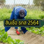 ธกส ใจดีออกเงินกู้ฉุกเฉิน รอบ 2