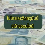 ไมโครเครดิตทรูมันนี่ สมัครออนไลน์