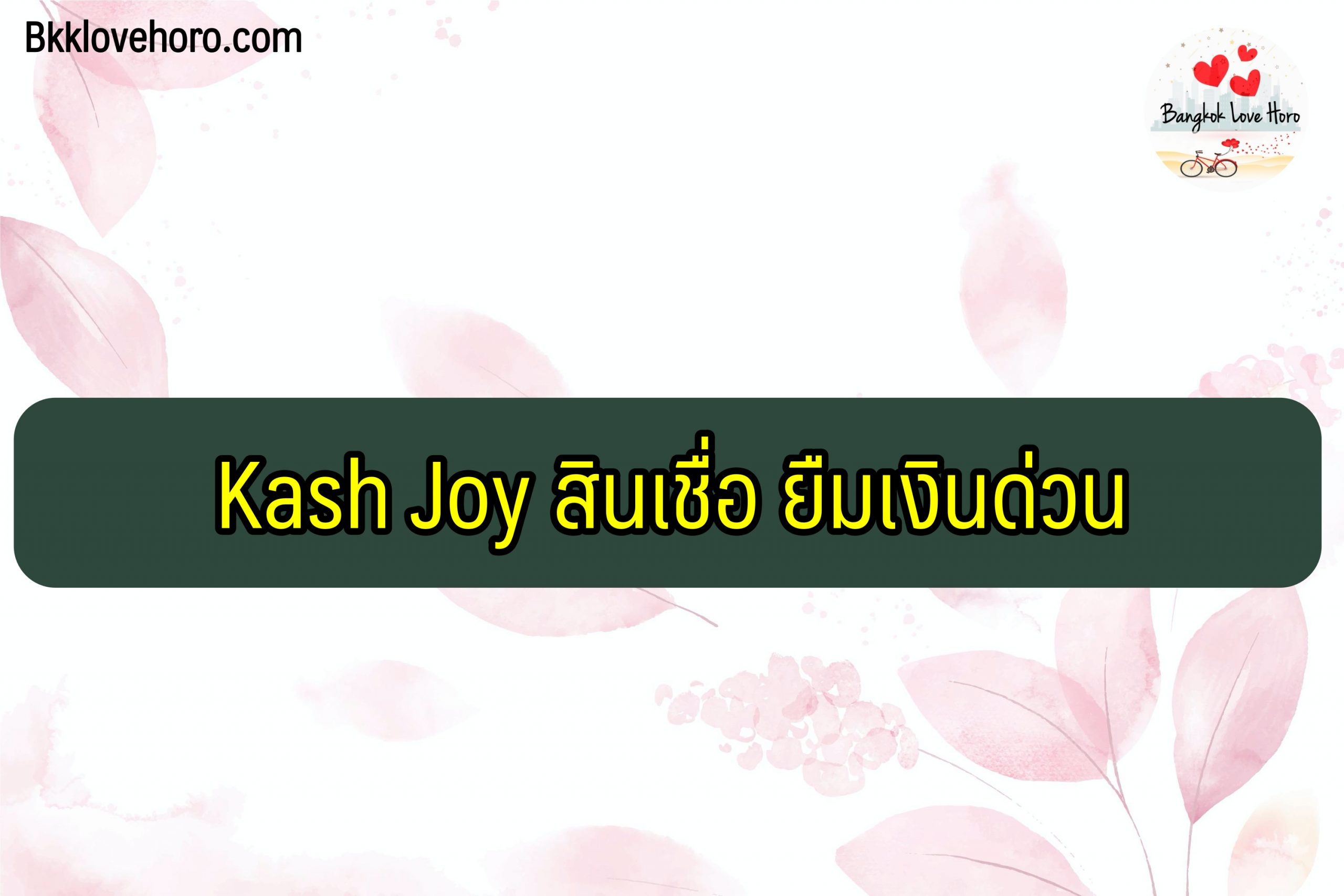 Kash Joy สินเชื่อ 2564