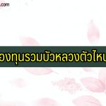 กองทุนรวม บัวหลวง ตัวไหนดี