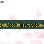 วัคซีนโควิดมีอะไรบ้าง 2564 เข้าไทยเมื่อไหร่ ฉีดที่ไหน รัฐ/ เอกชน