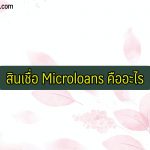 microloans สินเชื่อ คืออะไร ยืมเงินด่วนผ่านแอป