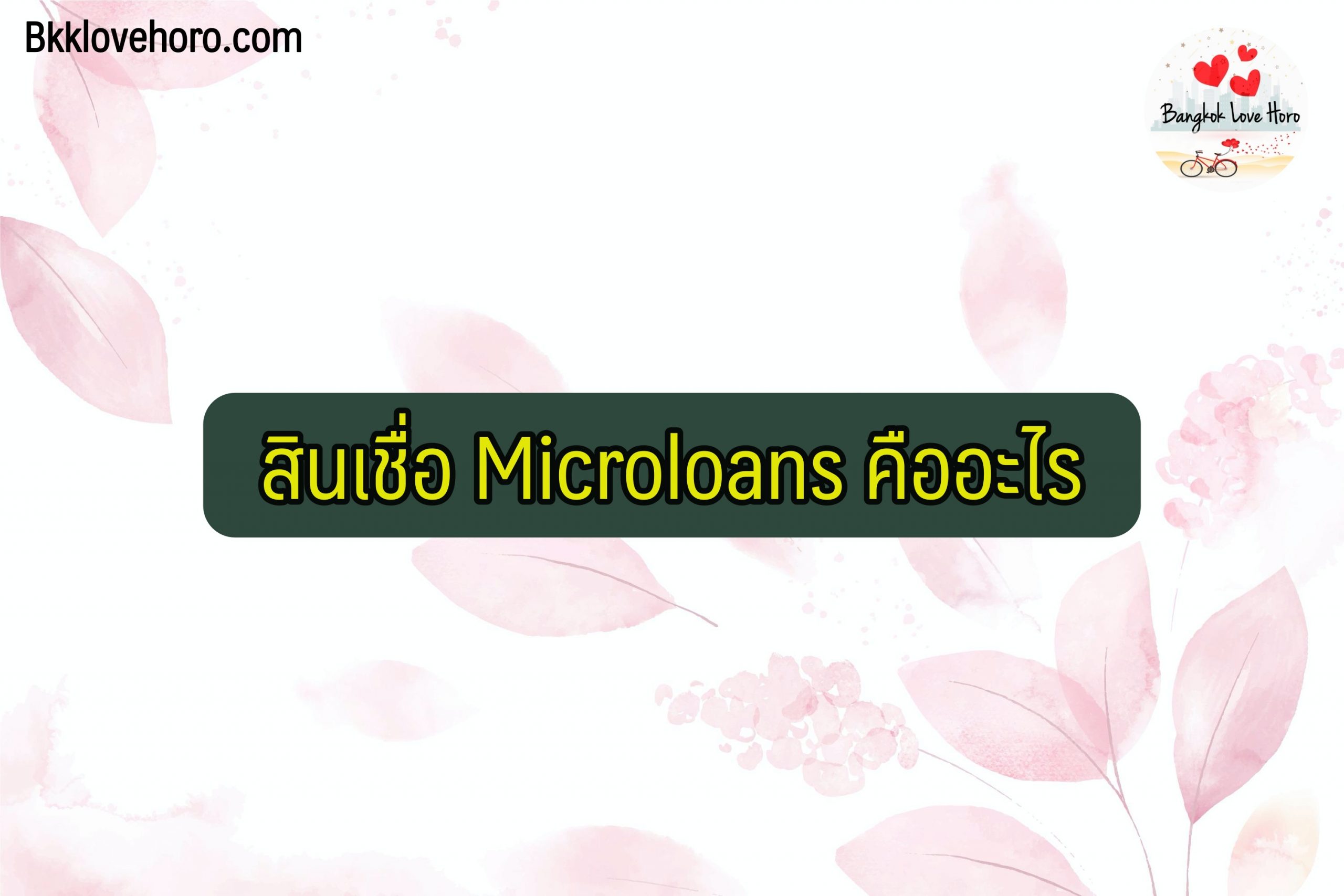 microloans สินเชื่อ คืออะไร ยืมเงินด่วนผ่านแอป