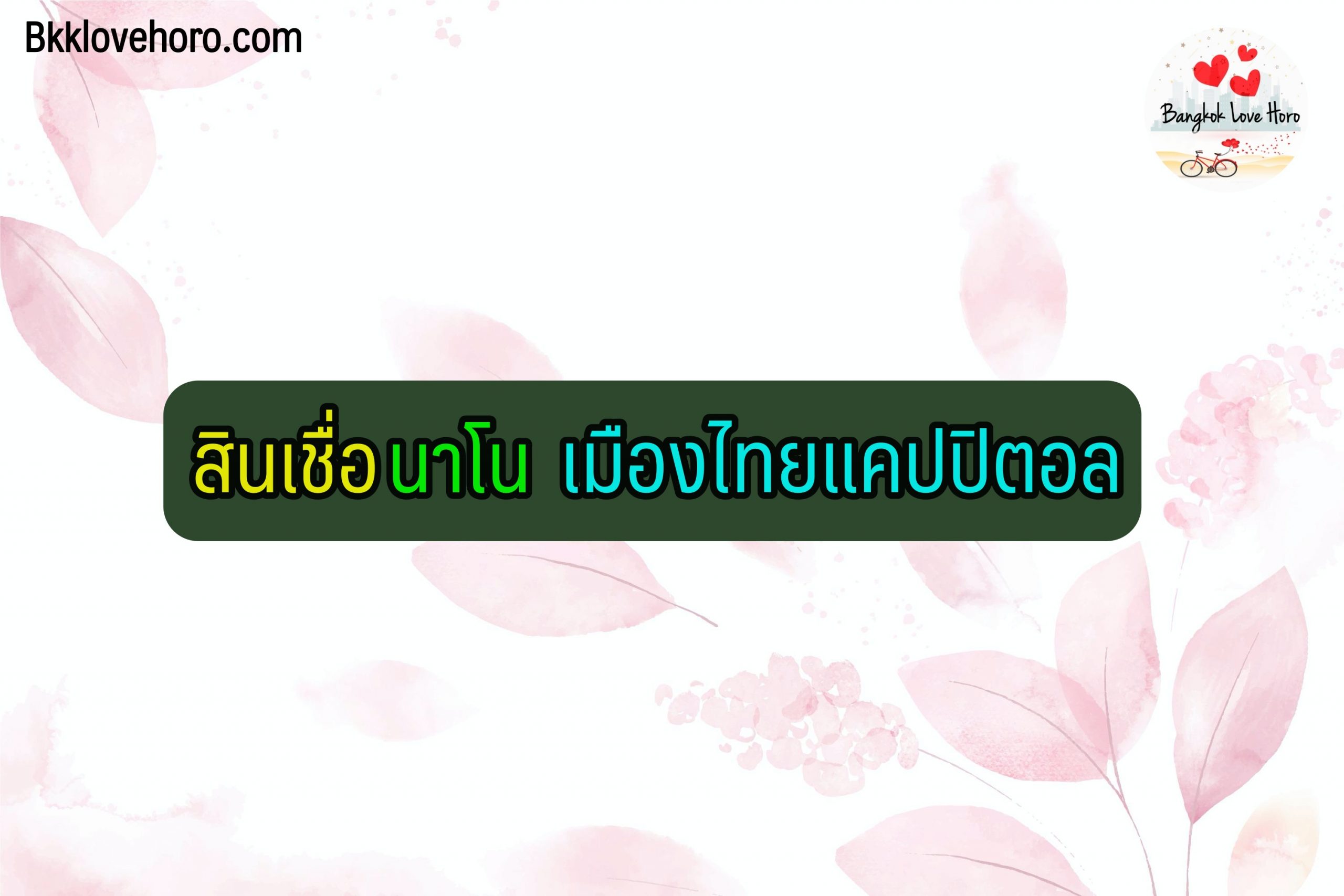 เมืองไทย แคปปิตอล สินเชื่อ นาโน 2564