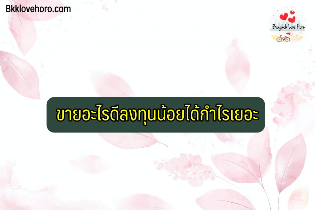 ขายอะไรดีลงทุนน้อยได้กำไรเยอะ Pantip ว่าไง 2565 อาชีพ/งานเสริมลงทุนน้อยกำไรดี 2022