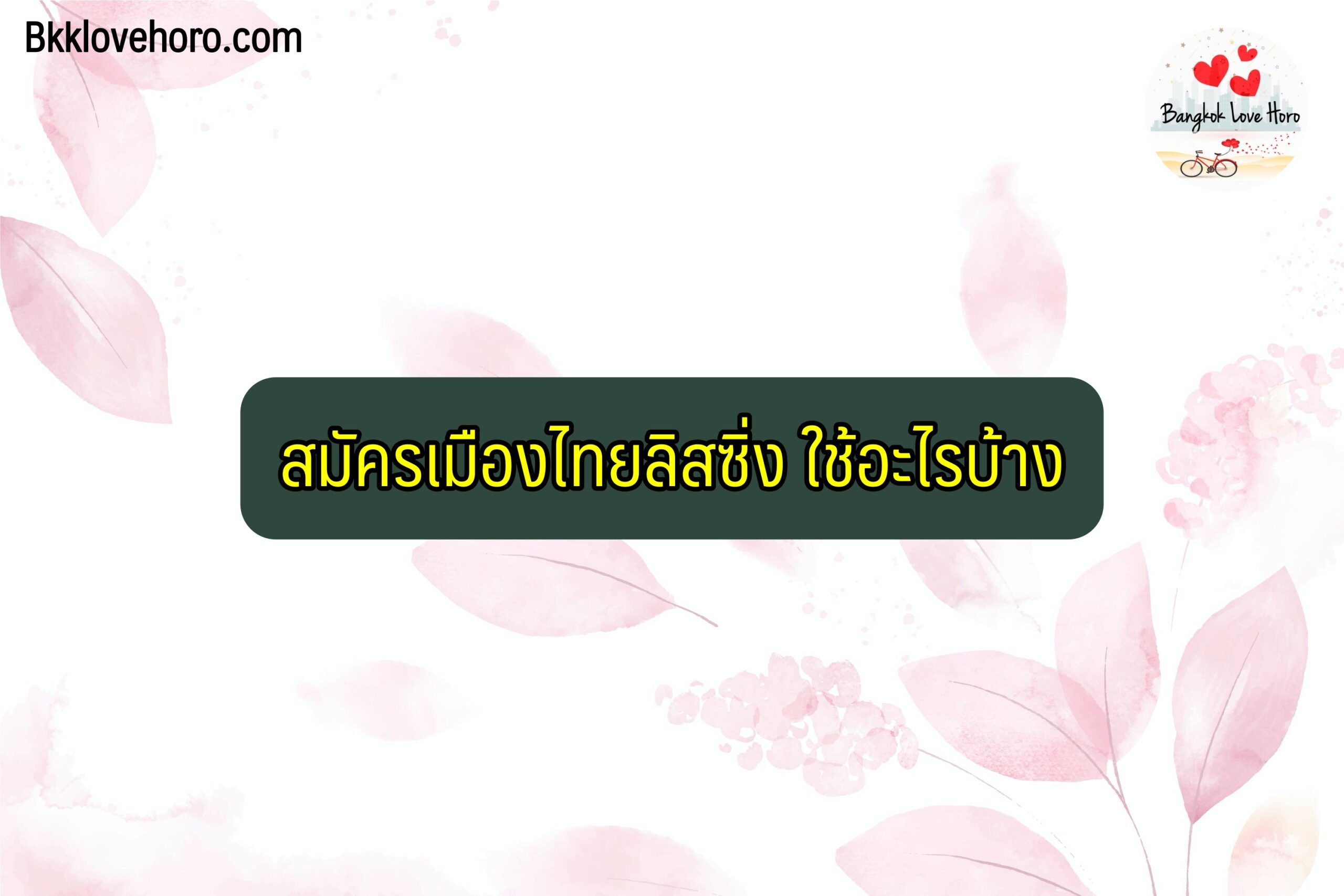 เมืองไทยลิซซิ่ง 2564 ต้องใช้คนค้ำไหม เพิ่มวงเงินอย่างไร ปัญหาที่พบมีอะไรบ้าง