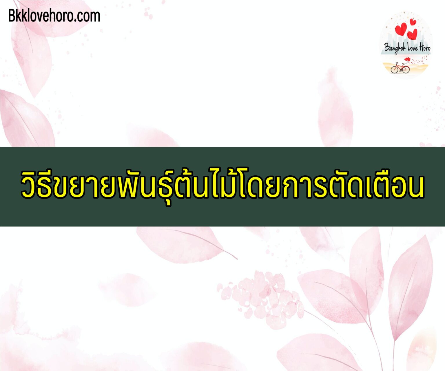 My Image 38