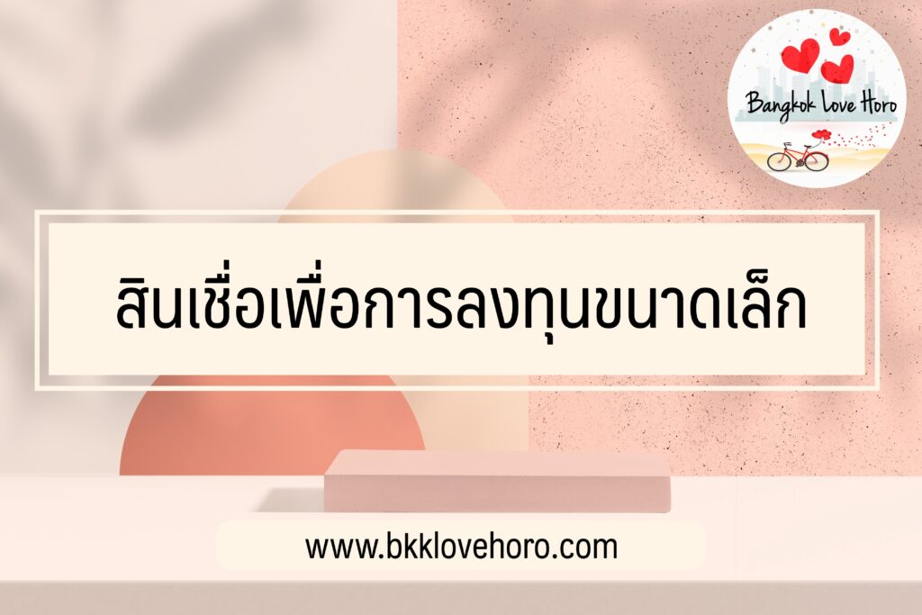 สินเชื่อเพื่อการลงทุนขนาดเล็ก