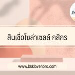 สินเชื่อโซล่าเซลล์ กสิกร