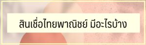 สินเชื่อไทยพาณิชย์ไม่มีสลิปเงินเดือน 2566