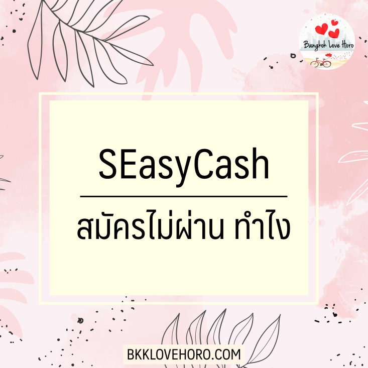 SEasyCash ถูกปฏิเสธ สมัครไม่ผ่าน ทำไง