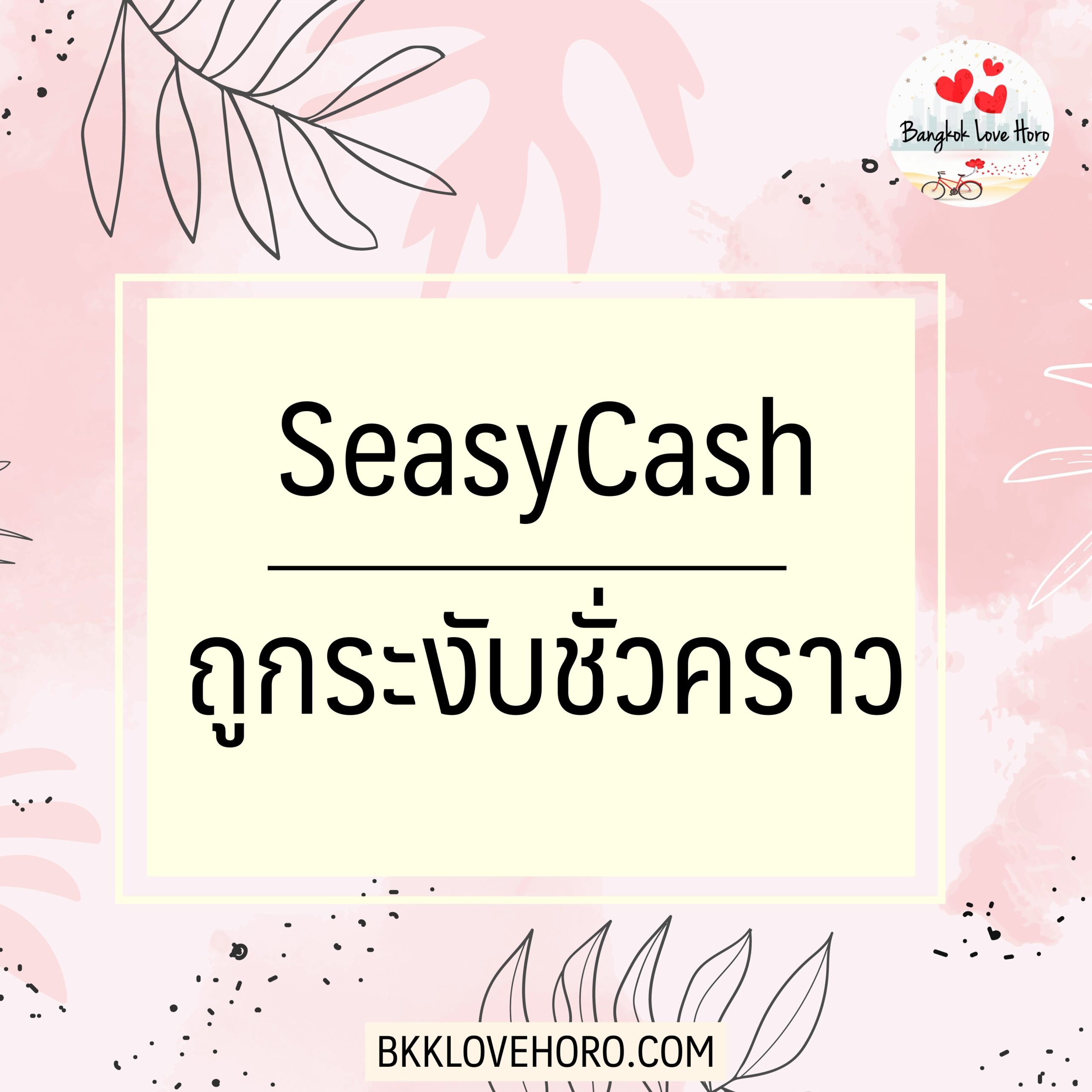 seasycash ถูกระงับชั่วคราว แก้ยังไง 2566