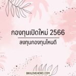 กองทุนเปิด 2566