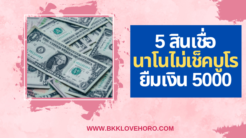 สินเชื่อนาโนไม่เช็คบูโร