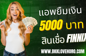 สินเชื่อ finnix