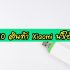 12 ไม้ด่างราคาถูก 2022 ไม้ด่างราคาไม่แพง 2565