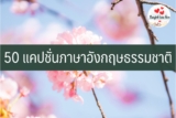 50 แคปชั่นภาษาอังกฤษธรรมชาติ 2024