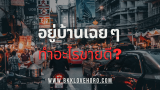 อยู่บ้านเฉยๆ ทำอะไรขายดี 2568