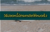 วิธีปลดหนี้บัตรเครดิต 2567 วิธีใช้หนี้บัตรเครดิตให้หมดเร็ว 2024