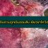 เงินด่วนสำหรับเจ้าของกิจการ 2564 เงินด่วนเพื่อธุรกิจ 2021