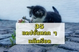 35 แคปชั่นตลกๆ แก้เครียด 2023
