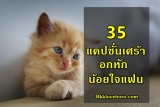 แคปชั่นเศร้า อกหัก น้อยใจแฟน 2024