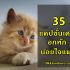อยากกู้เงิน เงินกู้ออนไลน์ ที่ไหนดี ดอกเบี้ยต่ำ อนุมัติไว 2567