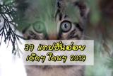 80 แคปชั่นอ่อย 2024 เด็ดๆ โดนๆ อ่อยแรง อ่อยแฟน อ่อยน่ารักๆ กวนๆ 2567