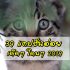 สมุดบัญชีหาย ไทยพาณิชย์/กสิกร/กรุงเทพ/ออมสิน/กรุงไทย ต้องแจ้งความไหม 2567
