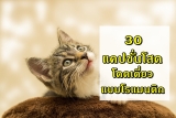 30 แคปชั่นโสด คําคมคนโสด โดนๆ สั้นๆ 2024