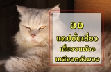 30 แคปชั่นเสี่ยว คำคมเสี่ยว 2024