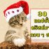 30 แคปชั่นปีใหม่ คำคมวันปีใหม่ สั้นๆ 2567