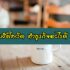 หางานออนไลน์ไม่จำกัดอายุ 2564 ได้เงินจริง