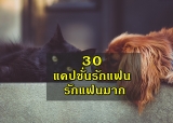 30 แคปชั่นรักแฟน คำคมรักแฟน 2024
