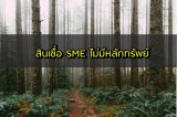 สินเชื่อ SME ไม่มีหลักทรัพย์ ดอกเบี้ยต่ำ 2564 ธนาคารไหนดี