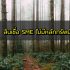แหล่งเงินทุน ไม่มีหลักทรัพย์ 2564 สินเชื่อเพื่อการลงทุนขนาดเล็ก