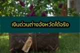 เงินด่วนต่างจังหวัด 2564 ได้จริง เงินด่วนฉุกเฉินถูกกฎหมาย