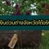 ยืมเงินด่วนตอนนี้ ยืมเงินด่วนฉุกเฉินทันที 2564