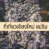 ร้านกาแฟ แม่ริม 2566 คาเฟ่น่ารักๆ เชียงใหม่ อัพเดตล่าสุด 2023