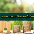 Spotify Premium ครอบครัว (Family)/นักเรียน ราคา กี่บาท ฟรีไหม 2021